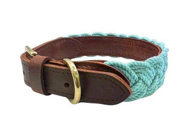 1ea Baydog Small Sea Foam Seaside Collar - Hard Goods